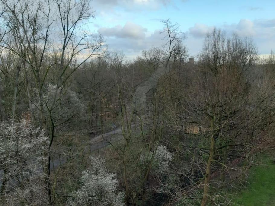 Zentral Und Doch Natur Cologne Exterior photo